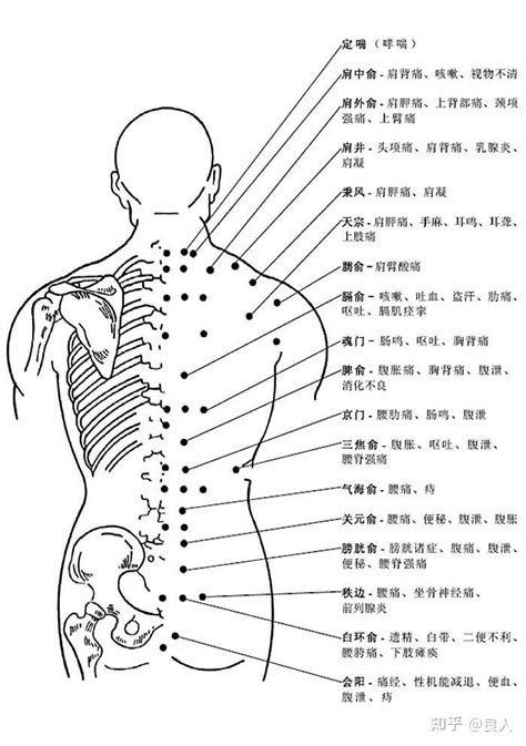 穴位|人体穴位图大全（带穴位功能主治说明）